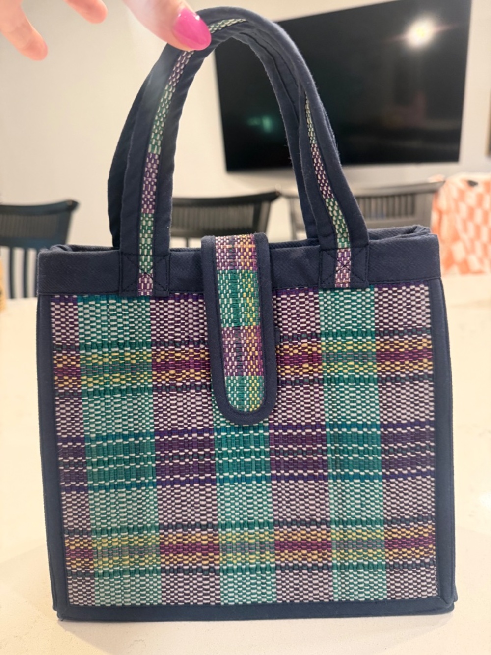 NWOT Lorna Murray Mini Gallery Tote